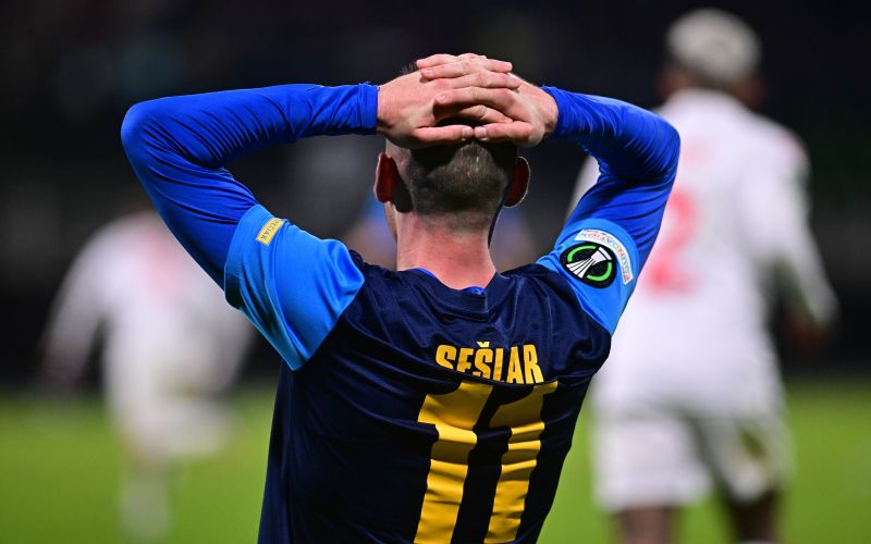 svit seslar celje fiorentina mm.jpg