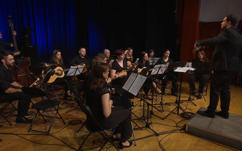 Tamburjaši iz Vipave delujejo od leta 2008.