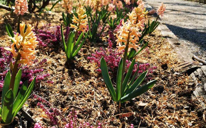 Mozirski gaj - foto Tanja Skok 1.jpg