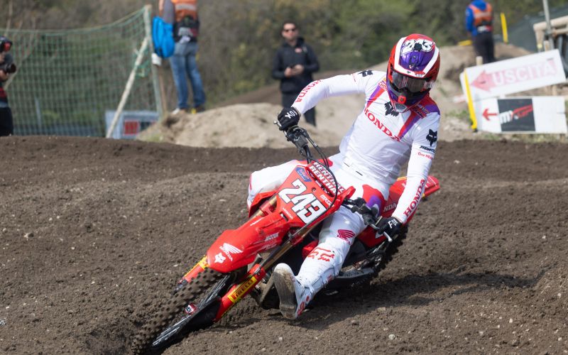gajser.jpg