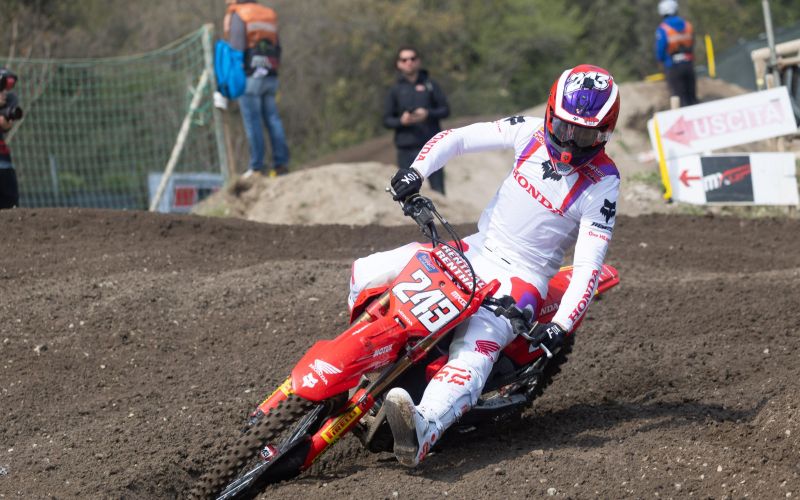 tim gajser