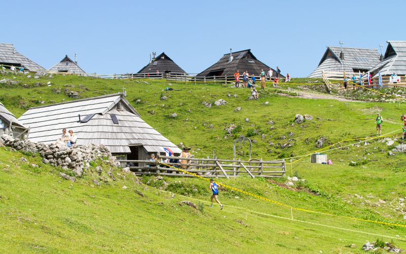 velika planina.jpg