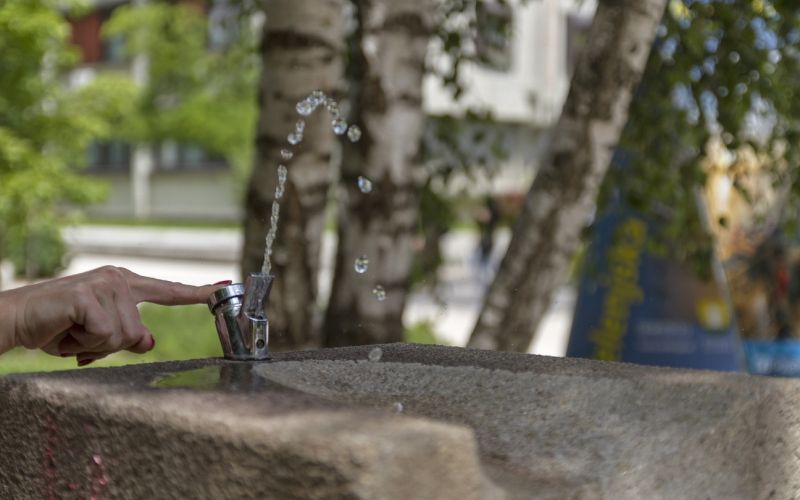 Pitnik foto Andraž Roškar KPV.jpg