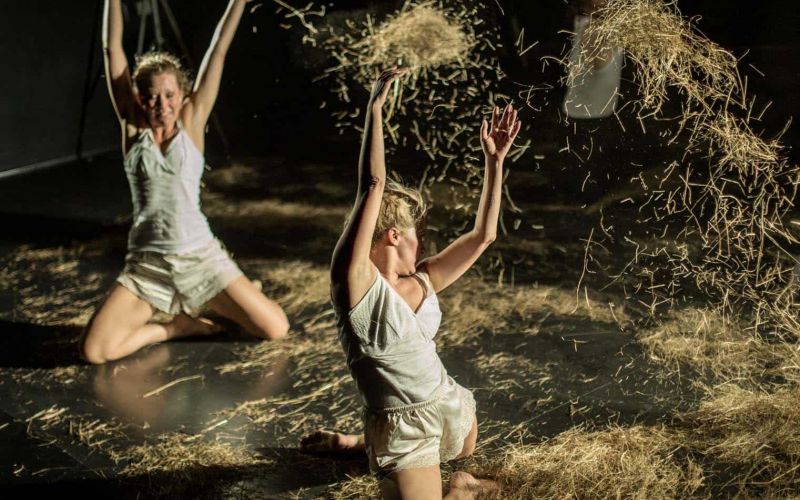 Balkan DANCE Project,Predstava Plenir, Foto Luca Quaia.jpg