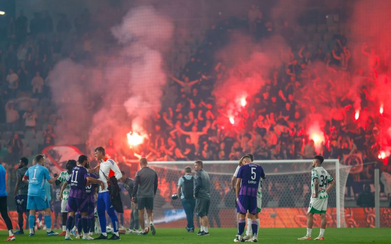 viole maribor.jpg