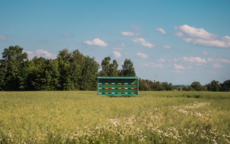 simbolična, panj, čebele, čebela, pomlad, čebelnjak