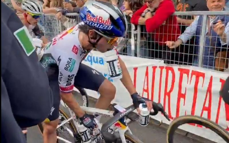 roglic.png