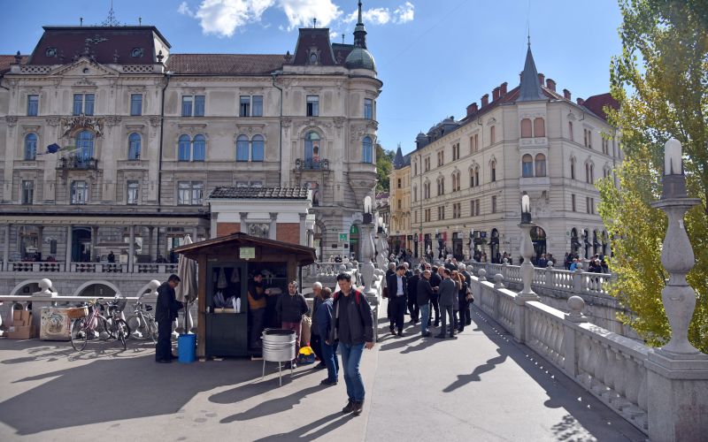 kostanj utica ljubljana.jpg