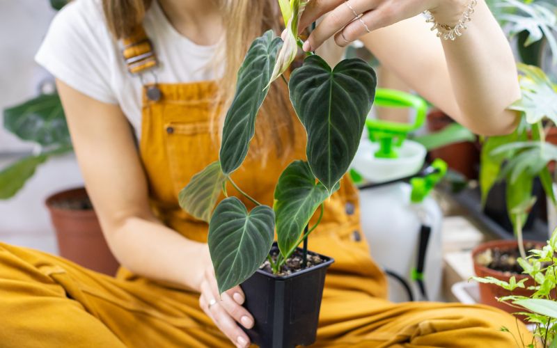 TM naslovna-dec21.jpg