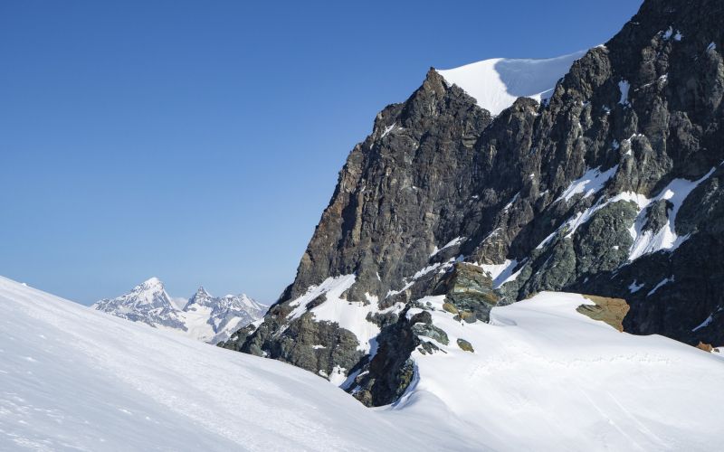 Rimpfischhorn