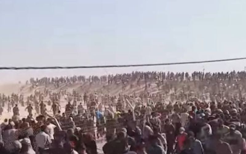 palestina gaza.jpeg