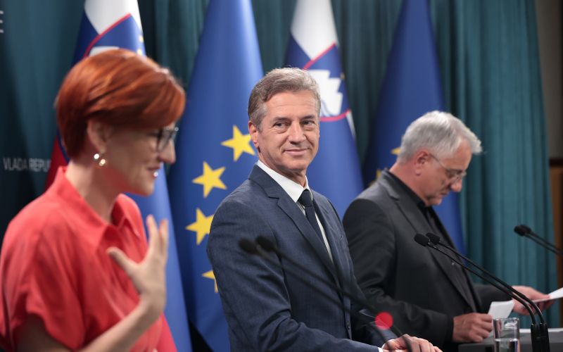 vrecko, golob, han