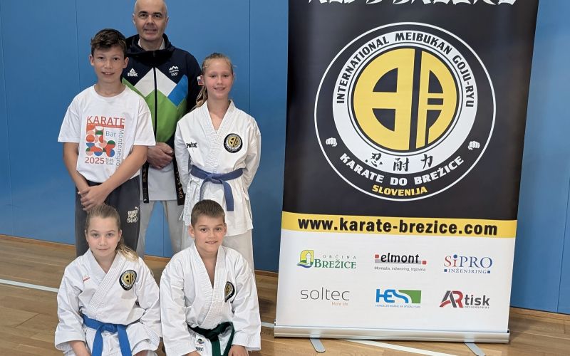 kk-brezice