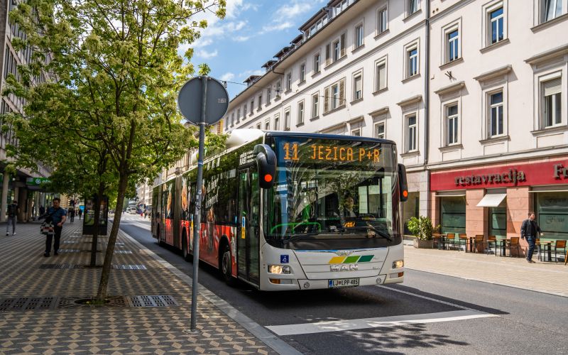 bus.jpg