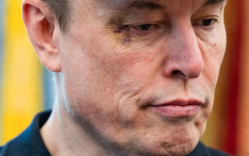 elon musk.jpeg