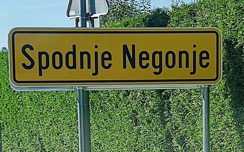 Spodnje Negonje
