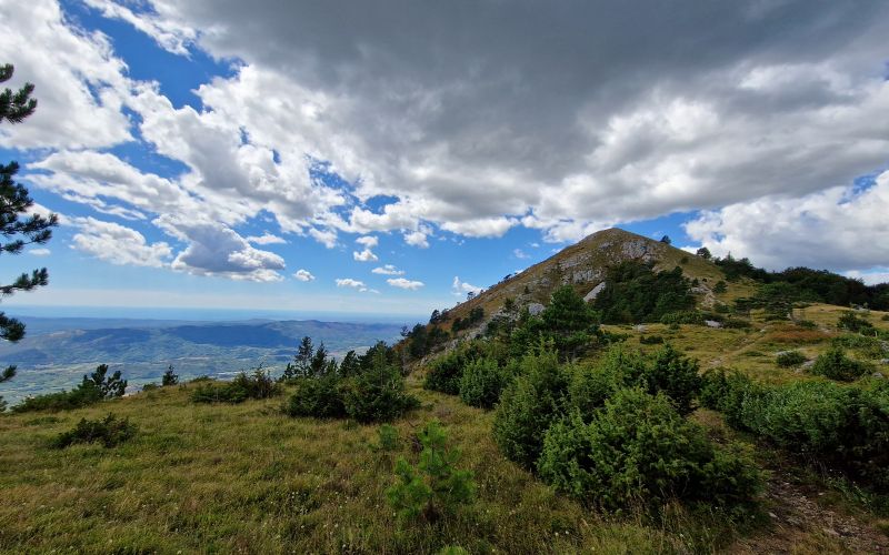 ceven, kucelj