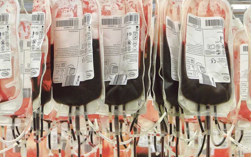 krvodajalstvo-blood-bags-91170.jpg