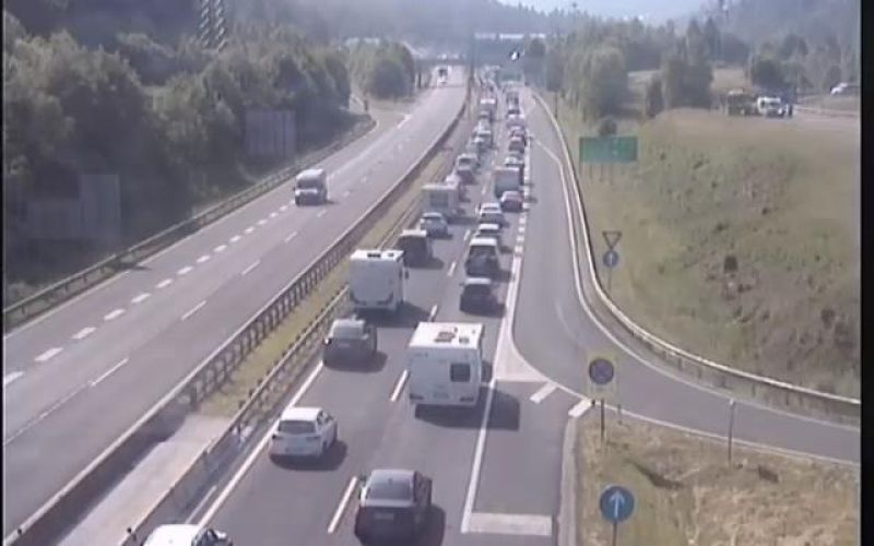 kolona hrušica dars.jpg