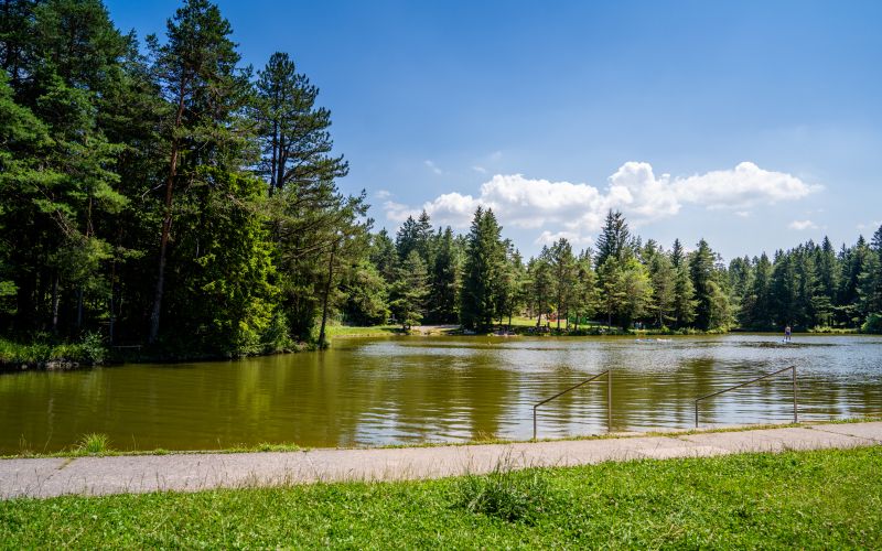 bohinjsko jezero.jpg