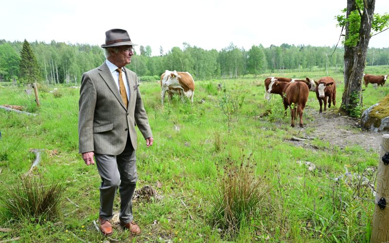 carl gustaf 1.jpg