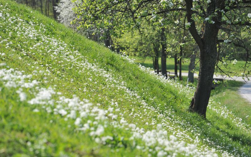 goričko, narava, sprostitev, 2017