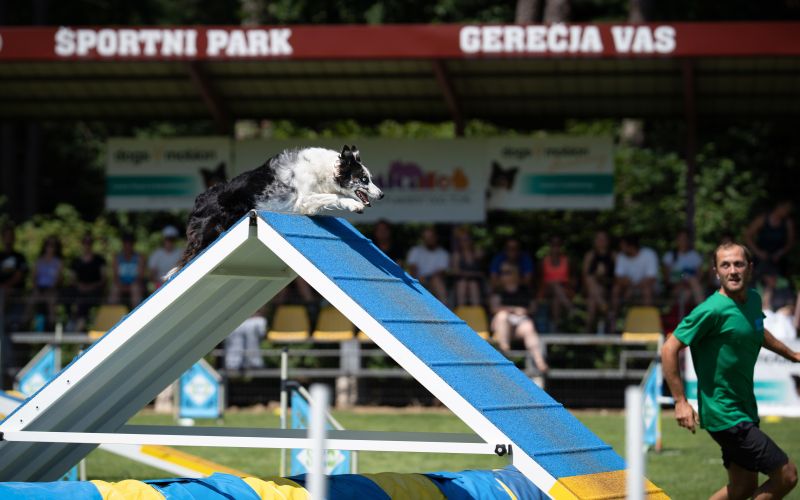 agility_final-09077 (1).jpg