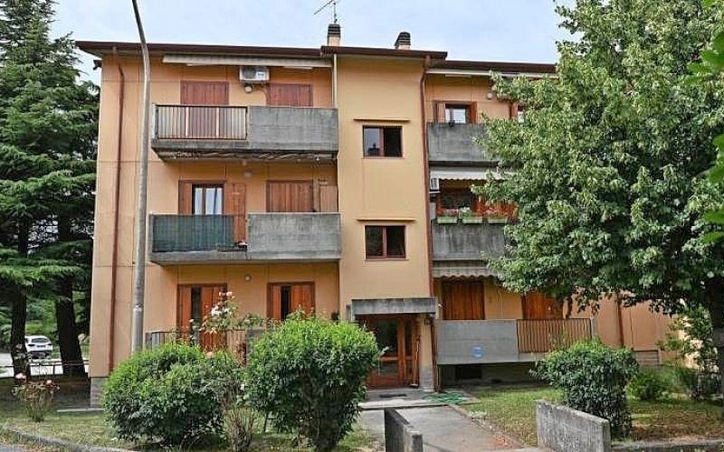 943655_155-papaveri.jpg