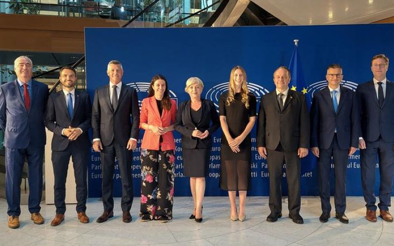 Slovenski evropski poslanci