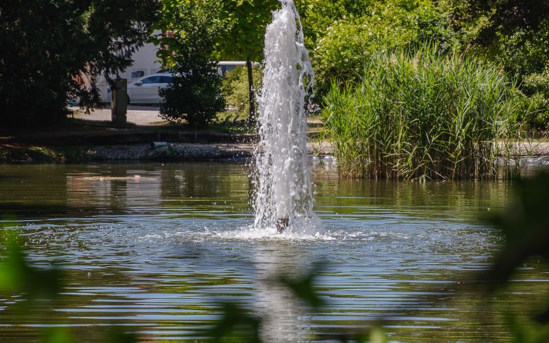 simbolična, poletje, park, vodomet, fontana, jezero