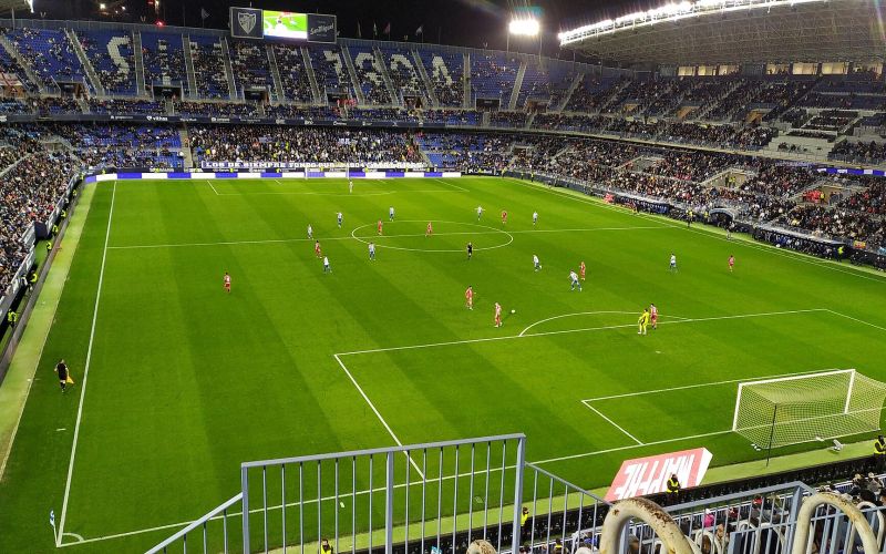 rosaleda1.jpg