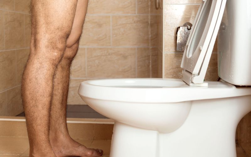 stranišče, mehur, prostata