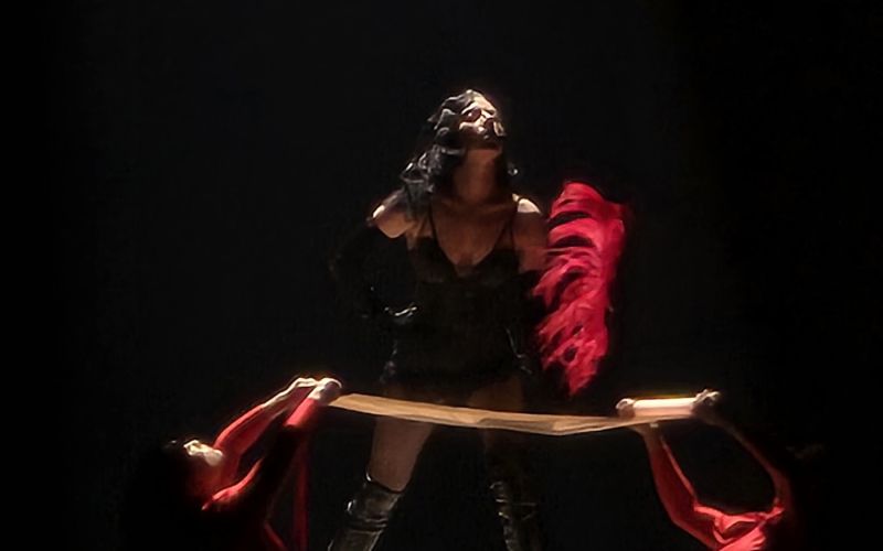 lady-gaga, mayhem
