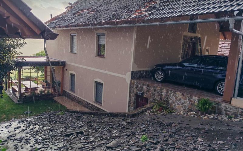 neujre Stična