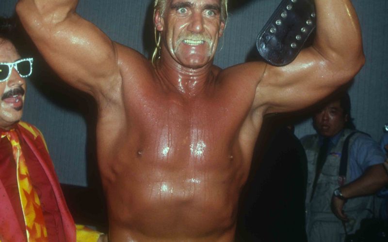 Hulk Hogan - Naslov svetovnega prvaka v težki kategoriji je osvojil kar šestkrat.