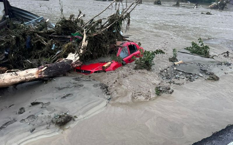 poplave