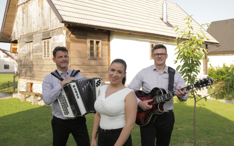 ansambel-andreja-bajuka