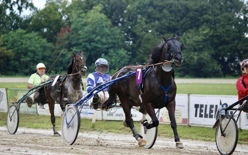 kasaski-klub-ljutomer, kasaske-dirke, hipodrom, ljutomer