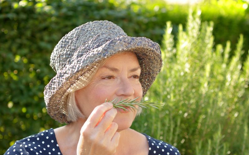 vohanje rožmarina.jpeg