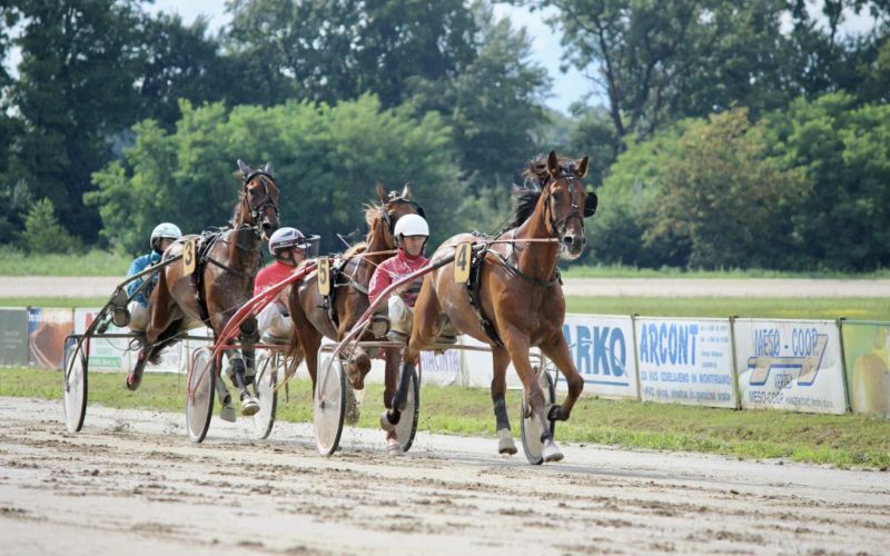 kasaski-klub-ljutomer, kasaske-dirke, hipodrom, ljutomer