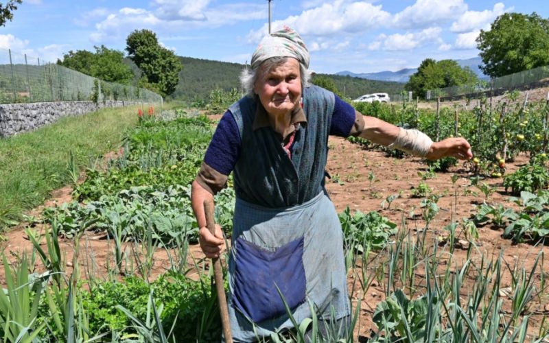 Francka Mljač