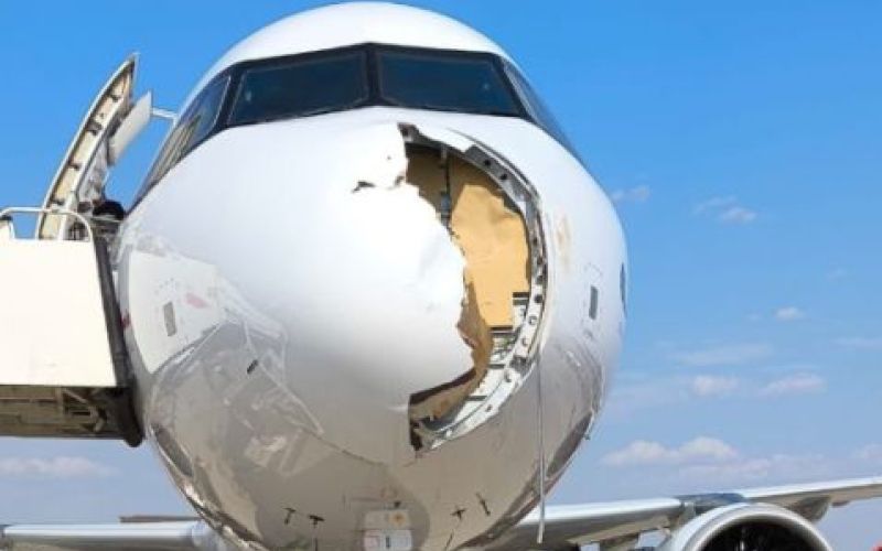 letalo, airbus, jastreb.jpg
