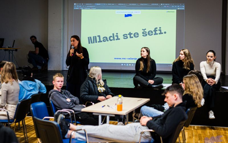 mladinska strategija.jpg