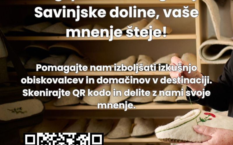 RA Saša Plakat - domačini.jpg