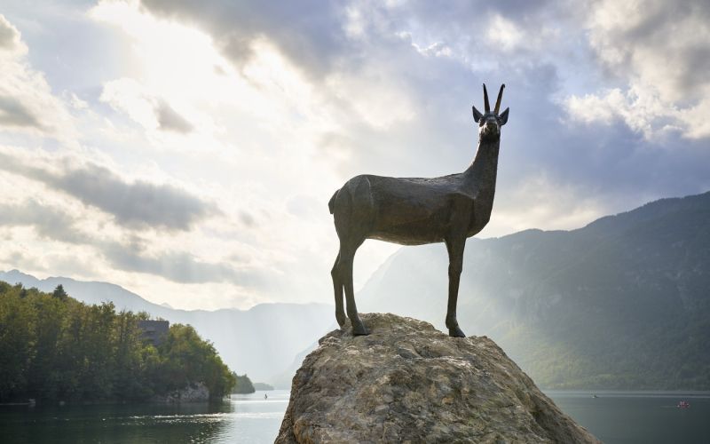Bohinjsko jezero