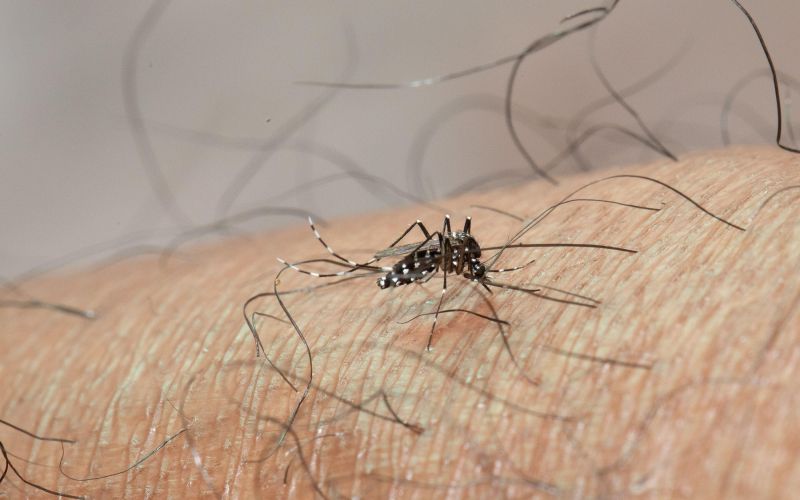 zika