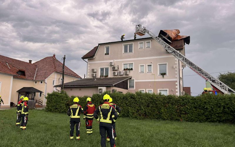 EK_neurje starse 2.jpg