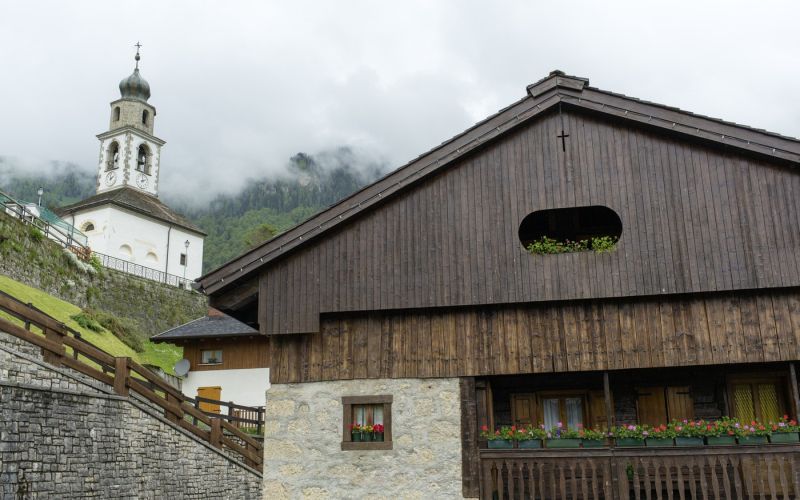 sauris