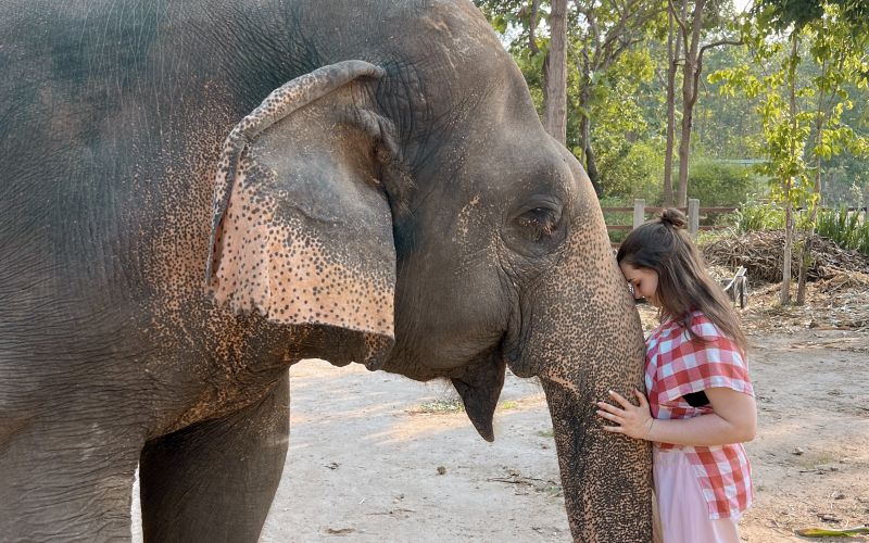 Letos aprila je pomagala skrbeti za slone v zavetišču na Tajskem.