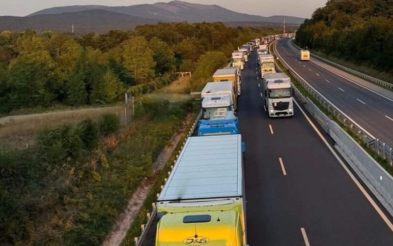 občina sežana.jpeg